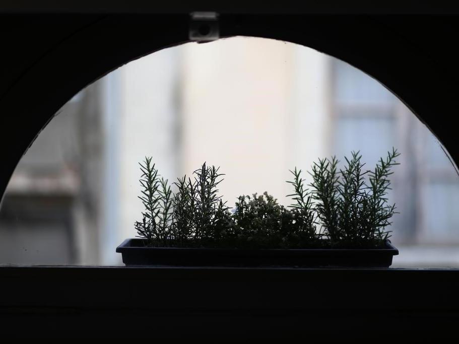 Le Relais De La Maison Bacou Carcassonne Zewnętrze zdjęcie