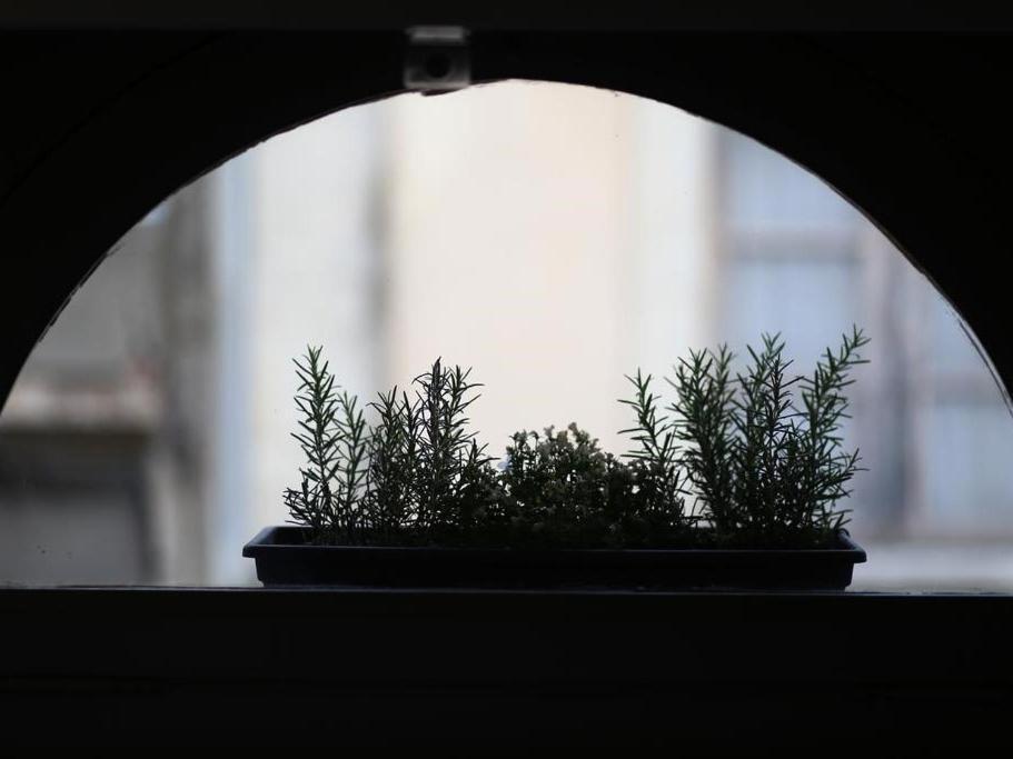 Le Relais De La Maison Bacou Carcassonne Pokój zdjęcie